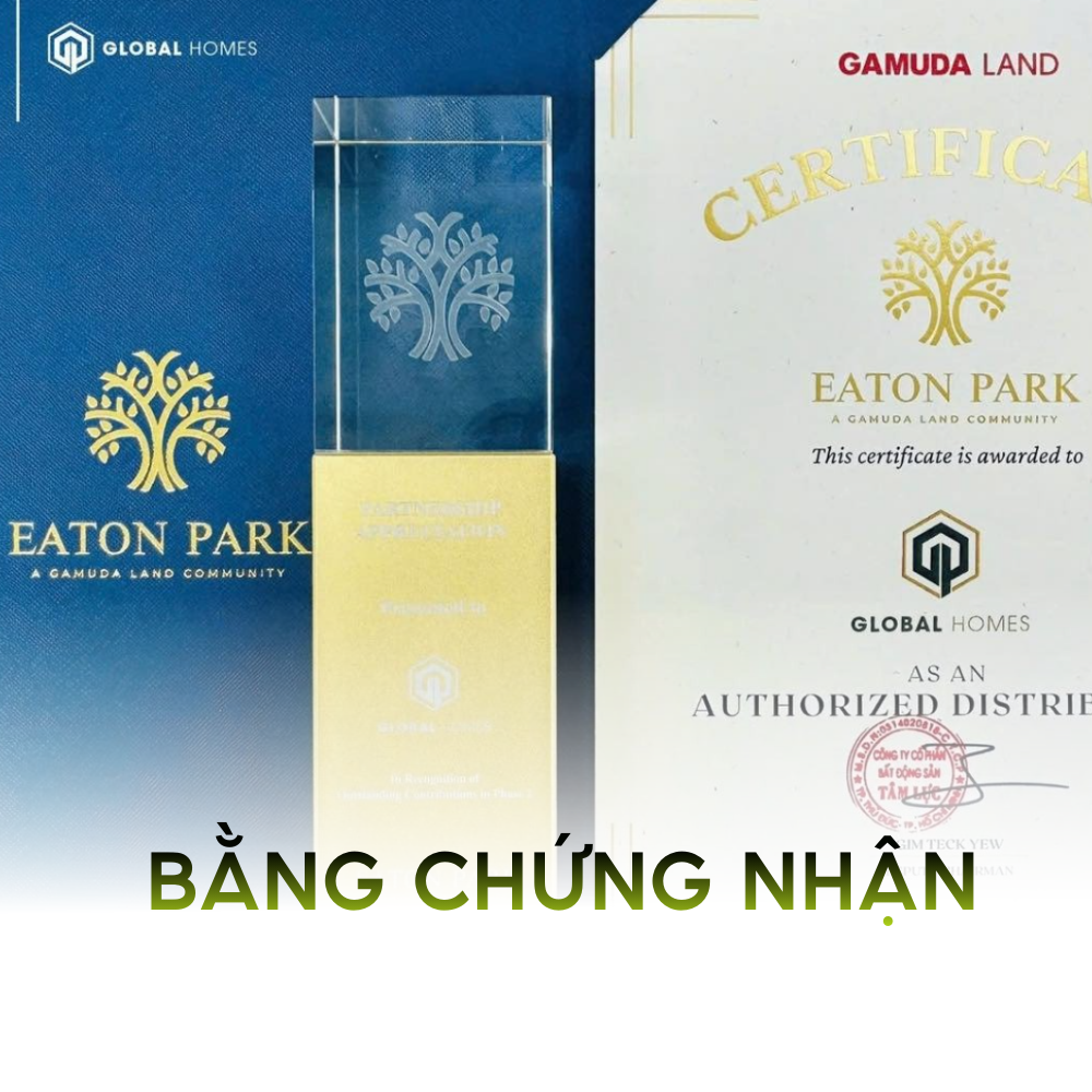 thong tin noi bo ghomes.vn 00
