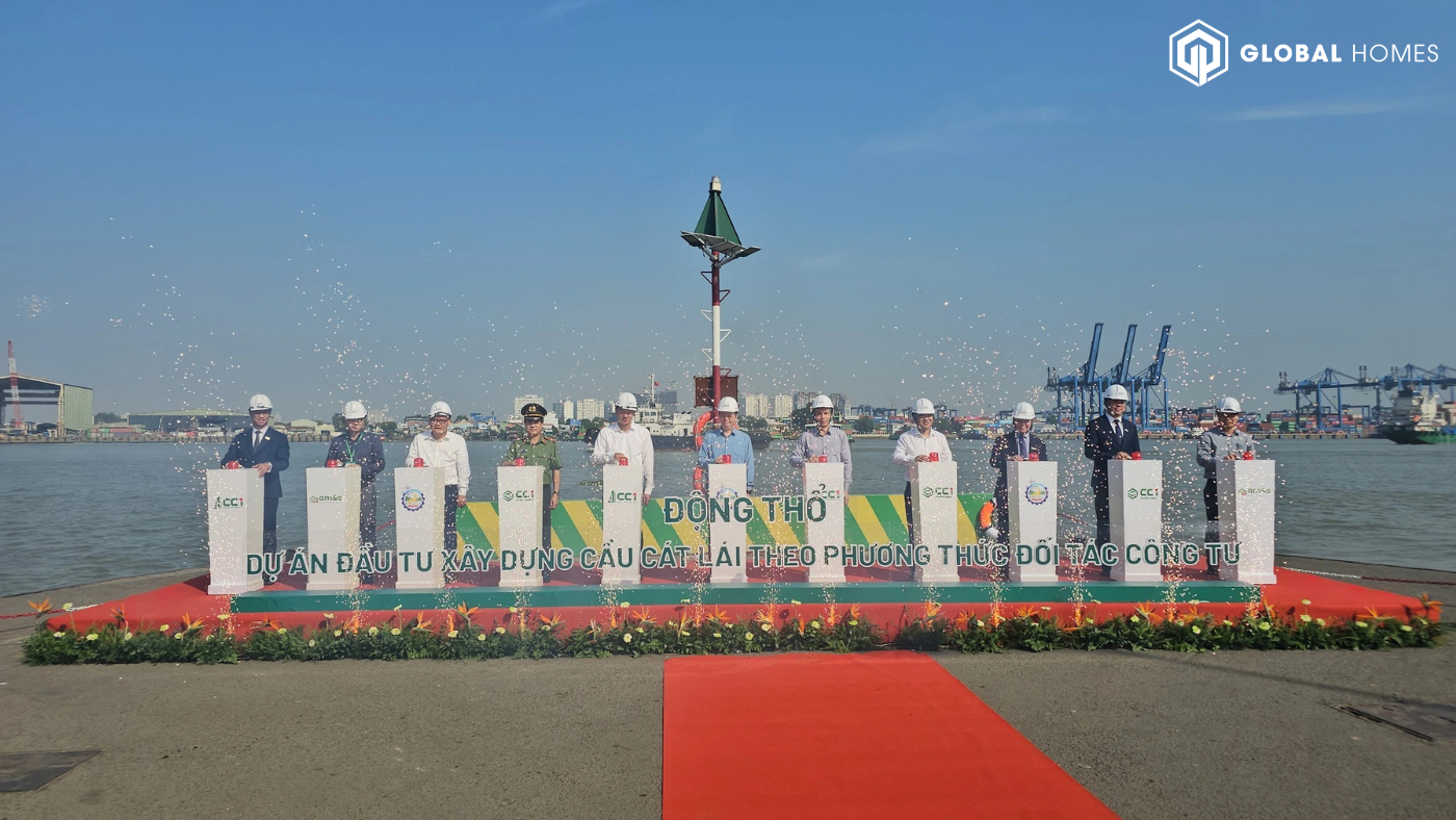 cau cat lai qua nhon trach cau cat lai qua nhon trach