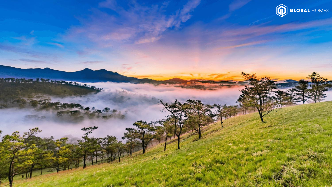 Đà Lạt Đà Lạt